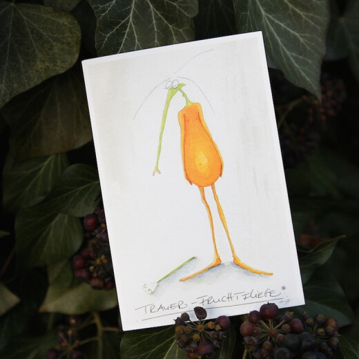 Trauer-Fruchtfliege | Postkarte