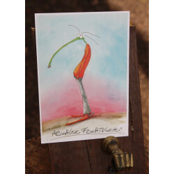 Arschlose Fruchtfliege Postkarte