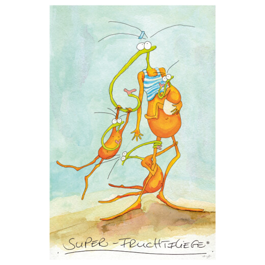 Super-Fruchtfliege Postkarte
