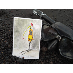 Grufti-Fruchtfliege Postkarte