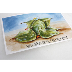 Verschnupfte Fruchtfliege Postkarte