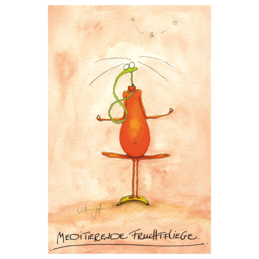 Meditierende Fruchtfliege Postkarte