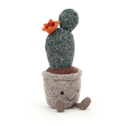 Silly Succulent Prickly Pear Cactus | Kaktus |...
