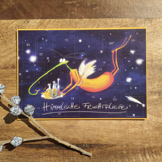 Himmlische Fruchtfliege | Adventskalender | Die Fruchtfliege