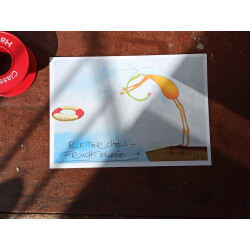 Retterchen-Fruchtfliege Postkarte