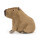 Clyde Capybara | Wasserschwein | Kuscheltier | Jellycat