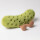 Amuseable Pickle | Saure Gurke | Kuscheltier von Jellycat