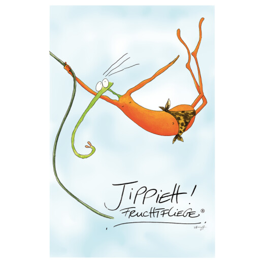 Jippieh-Fruchtfliege Postkarte