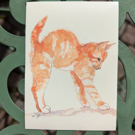 Rote Katze | Kühlschrankmagnet