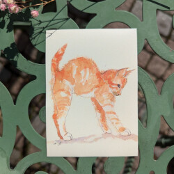 Rote Katze | Kühlschrankmagnet