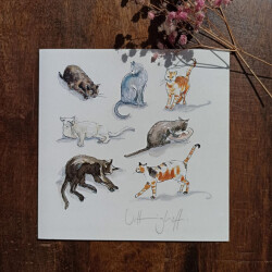 Quadratklappkarte Katzen Studien mit Umschlag – Illustration von Sabine Vittinghoff