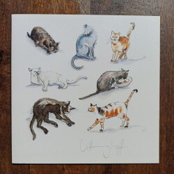 Quadratklappkarte Katzen Studien mit Umschlag – Illustration von Sabine Vittinghoff