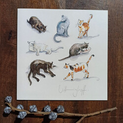 Quadratklappkarte Katzen Studien mit Umschlag – Illustration von Sabine Vittinghoff