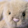 Jellycat Oat Flufflet Bunny - Flauschiger Kuschelhase Beige