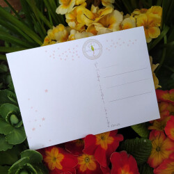 Geburtstagskarte „WunschGlück Fruchtfliege“ – liebevolle & lustige Glückwunschkarte