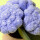Jellycat Amuseables Hydrangea -  Hortensie Kuschelpflanze
