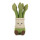 Jellycat Amuseables Asparagus - grüner Spargel als Kuscheltier